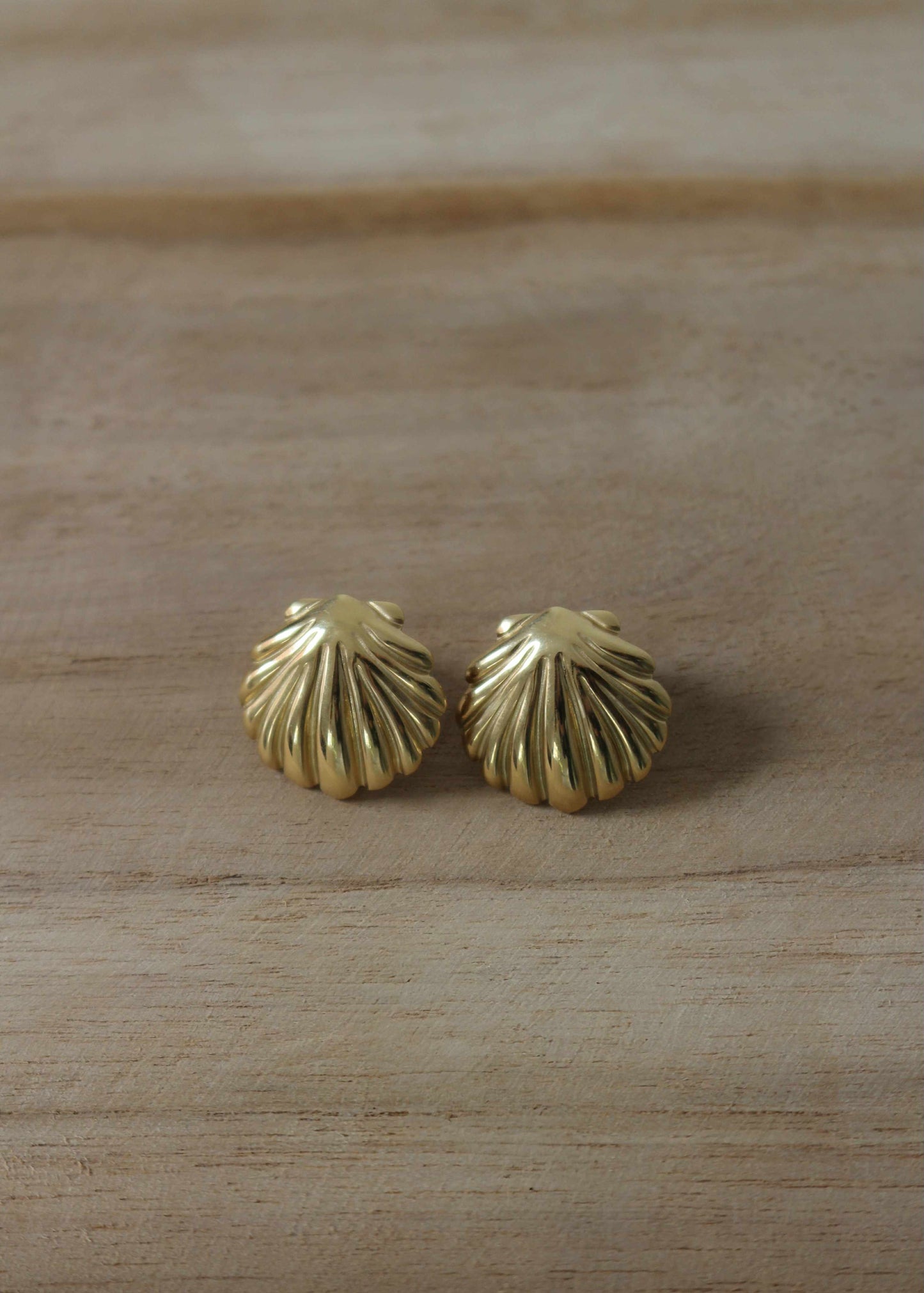 Boucles d'oreilles SHELL