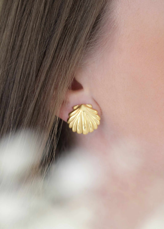 Boucles d'oreilles SHELL