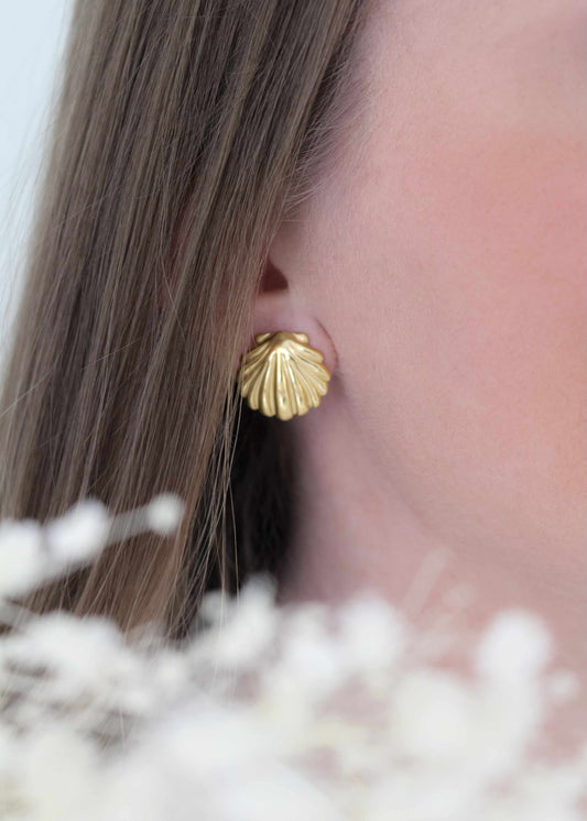 Boucles d'oreilles SHELL