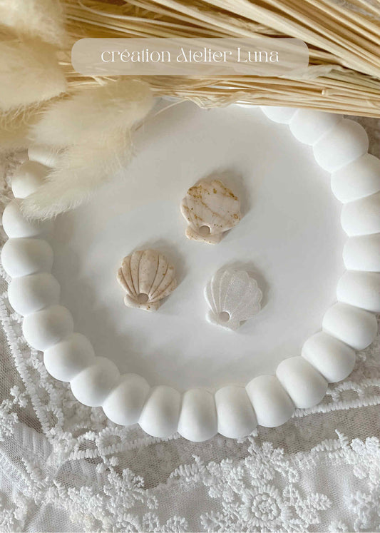 Pampilles COQUILLAGE